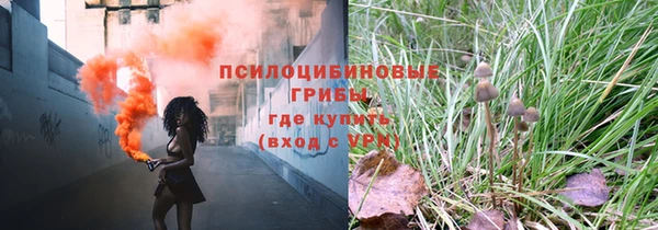 ПСИЛОЦИБИНОВЫЕ ГРИБЫ Армянск
