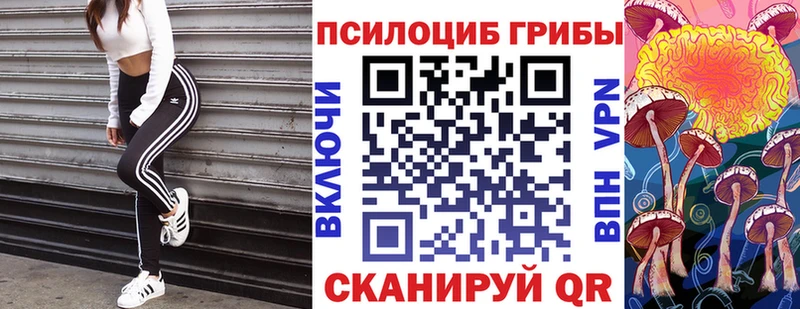 Псилоцибиновые грибы Cubensis  hydra вход  Можайск  купить наркотик 